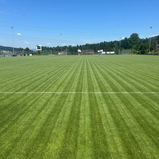 Fussballplatz Buchrain